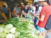 產地未受影響　批發菜價回跌2成