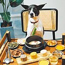 毛孩專屬好料　燒肉月餅油脂低