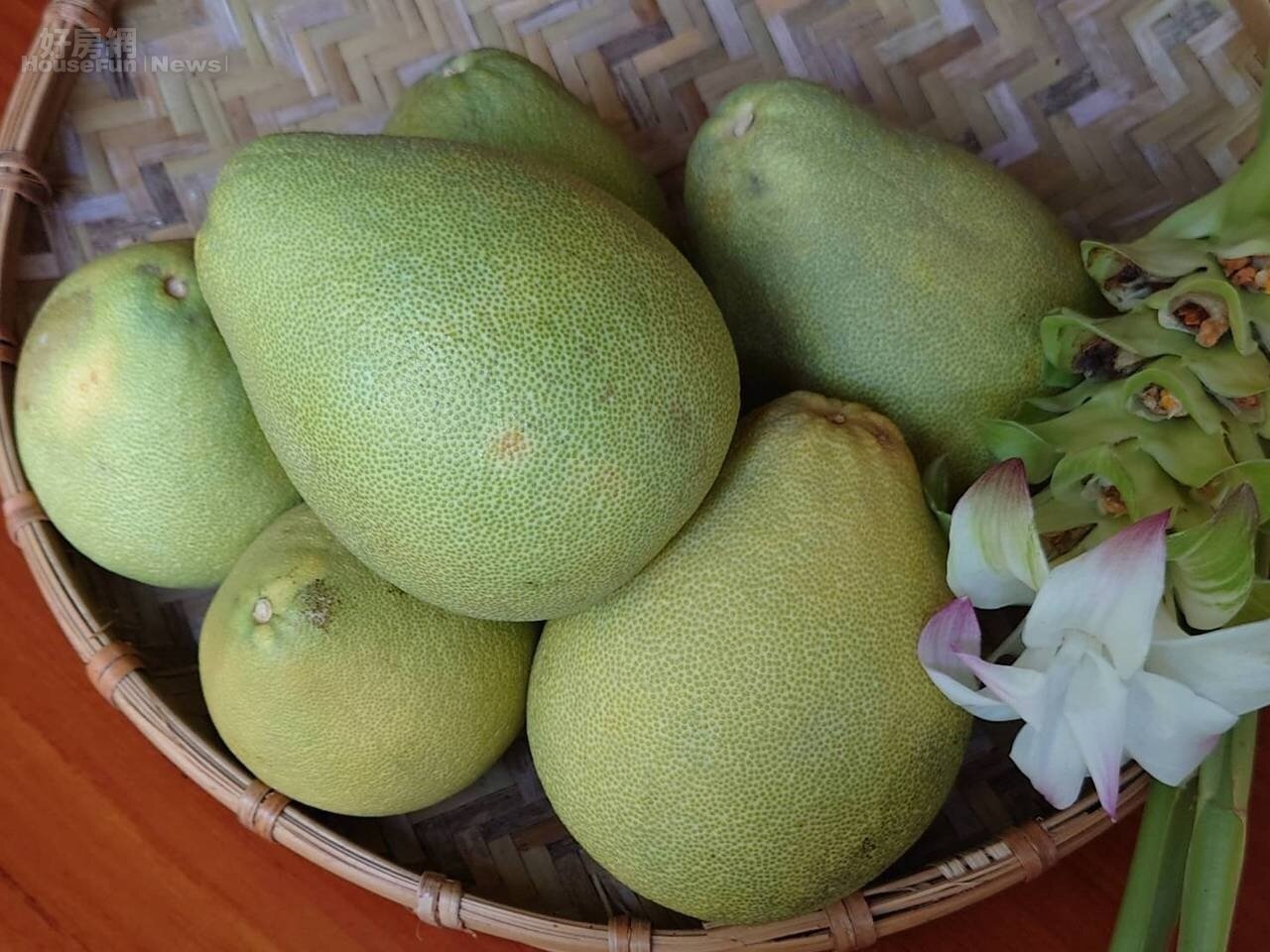 秋季限定水果柚子富含纖維質和維他命c等多種營養,可促進消化和排便。圖/聯合報記者簡慧珍攝