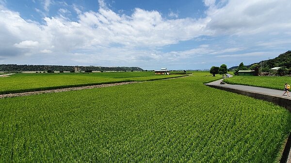 提高調解成立比率,台中市公開耕地三七五調解案例。圖/台中市地政局提供