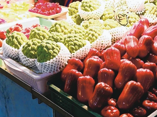 中國大陸海關總署19日發布通知,於9月20日起暫停台灣釋迦和蓮霧輸入。聯合報系資料照片