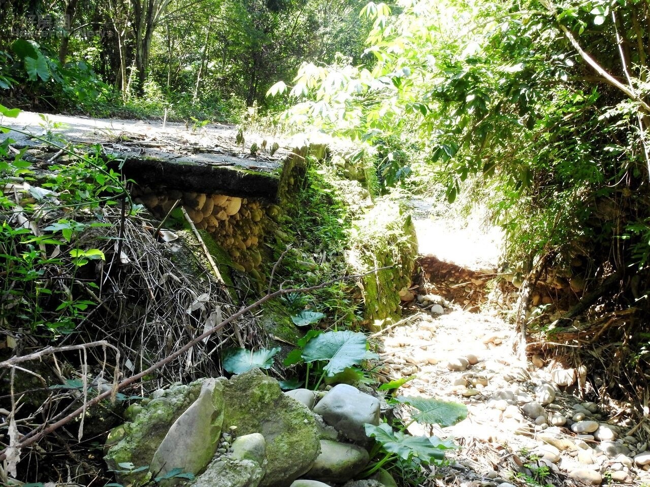 南投縣竹山鎮田子、鯉魚兩里及石頭坑等4處野溪，近來時常發生午後強降雨，因護岸基礎破損，導致堤內道路淘空陷落形成大坑洞。圖／南投縣政府提供