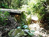 竹山4野溪護岸淘空危及道路民宅　縣長要求盡快搶修減災