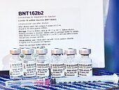 還在拚第1劑　蘇揆：10月底達7成