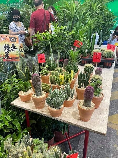 很好逛的花卉市場。圖/里長提供