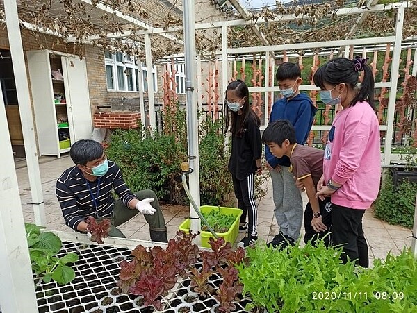 義方國小田園種植區。圖／截自義方國小網站　校長提供