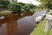 藻類增生　愛河水色變紅了