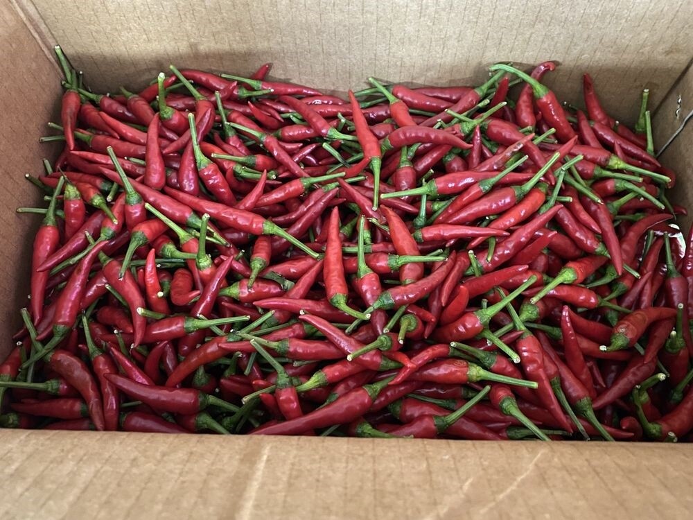 衛生局抽驗不符規定產品,朝天椒檢出1項殘留農藥不符「農藥殘留容許量標準」規定。圖/北市府提供