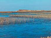 雲林離島工業區太陽能場　226公頃明年完工