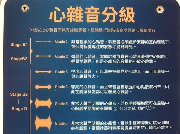 運用聽診可以判讀心雜音,以評估心臟病階段。圖/新北市府提供