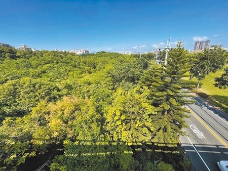 新北市樹林區城林橋下方、溪城路旁的國有地預計興建社宅,衛生局與國家住都中心,有意將醫養專區與社宅合併開發。(蔡雯如攝)