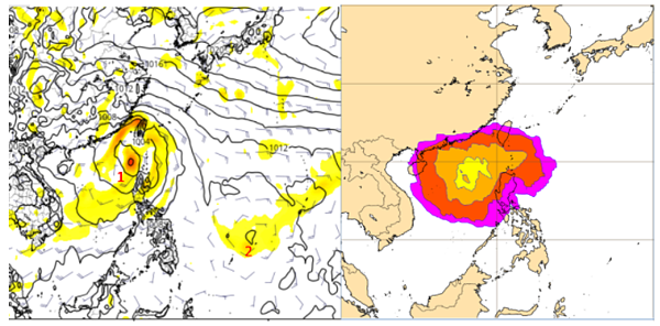 歐洲模式模擬下周五20時預測圖(左圖)顯示,南海(左圖1)及菲律賓東方海面(左圖2)皆有熱帶擾動活動的跡象;歐洲系集模式,同一時間颱風分布機率圖(右圖)則顯示,機率最高處在南海,在台灣附近機率大約在5至20%之間。左圖取自tropical tidbits。圖/取自「三立準氣象.老大洩天機」專欄