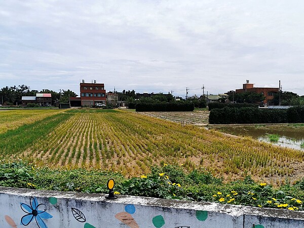 桃園航空城優先搬遷區1000棟建物，10月底前自動搬遷申請書送件領取獎勵，僅2成5簽署送件，市府憂地主權益受損。記者曾增勳／攝影 