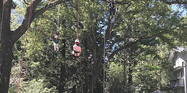 興大實驗林管理處舉辦惠蓀木文化節。其中，樹攀岩活動，吸引很多小朋友首次嘗試。圖／工商時報記者劉朱松
