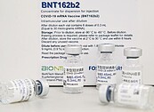 美國研究　打2劑BNT半年　保護力剩47％