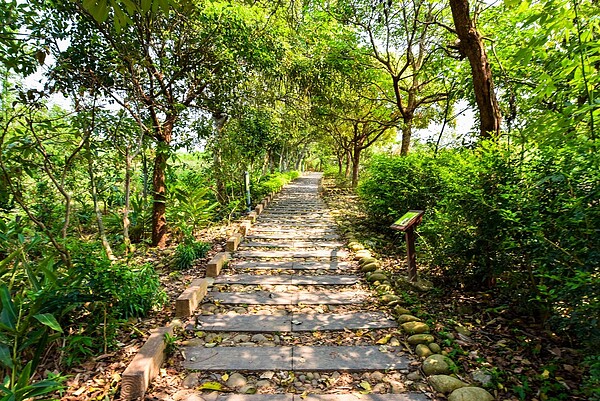 龍井竹坑南寮登山步道。圖／台中市觀旅局提供