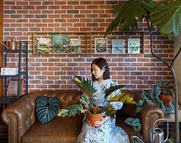 張景嵐在Instagram分享許多植栽經驗談。圖／取自張景嵐Instagram