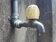 苗栗、頭屋16個村里13日停水7小時　36里水壓降低