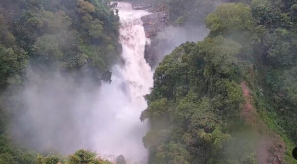 桃園市復興區今天停班停課,小烏來瀑布上午因為雨量充沛更顯壯觀。圖/桃園市觀旅局即時影像