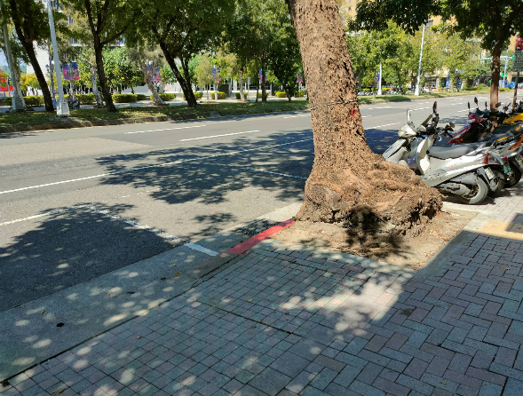 台北市近4年因路樹竄根造成路面隆起、鋪面破損，導致人行道一再修繕的件數高達1280件。圖／北市議員潘懷宗提供