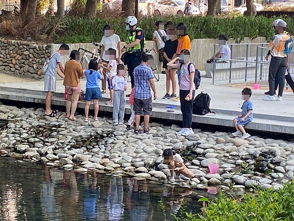 「美國螯蝦」大量現蹤護城河影響生態,新竹市府捕捉3千隻呼籲民眾勿放養、勿垂釣。圖/新竹市政府城市行銷處提供