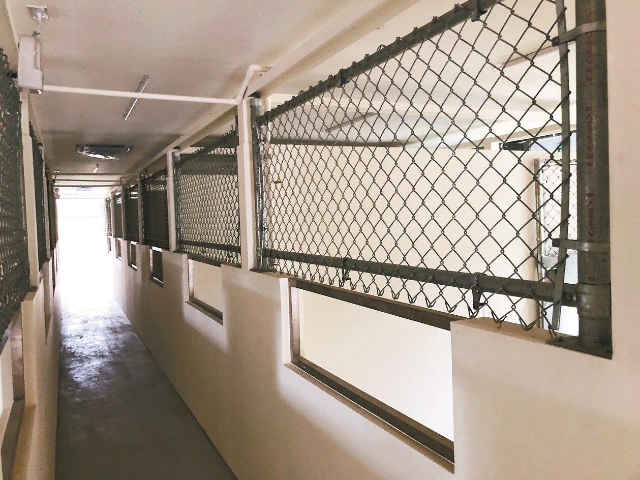 北市府興建中繼動物之家，北市議員建議可以將中繼改為永久建物。記者鍾維軒／攝影 