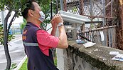 電眼蒐證髒亂點　台中縮時攝影機神助攻