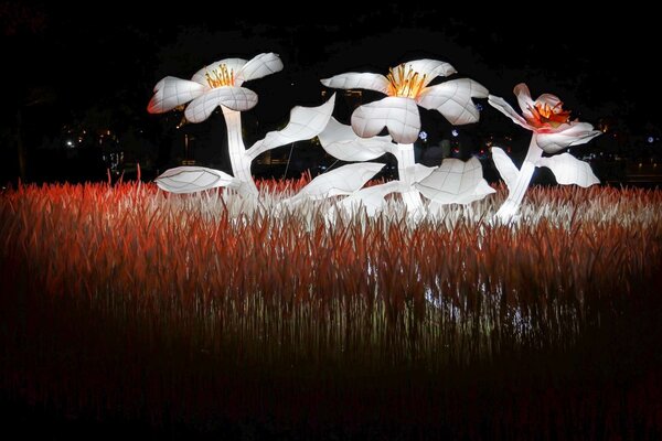 「奇幻花園」利用2萬根竹籤與2萬片羽毛，打造一片絕美白芒草花園。圖／新竹市政府提供