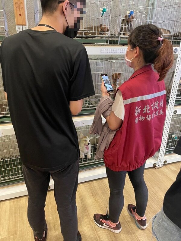 新北市動保處日前派員去板橋某寵物店稽查。圖／新北市動保處提供