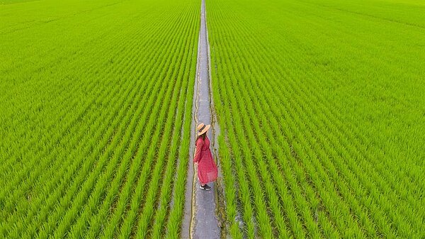 「紅衣大女孩」獲獎引發軒然大波。圖/摘自臉書