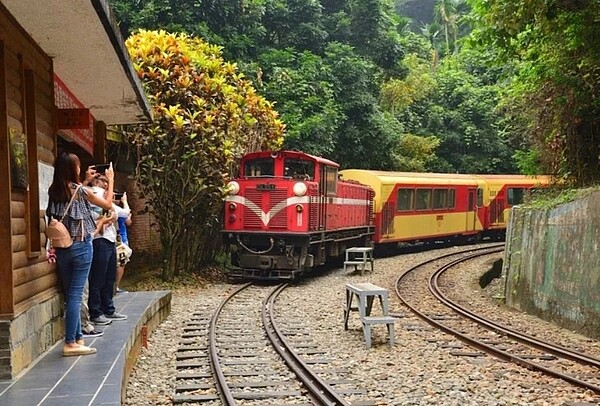 阿里山森林鐵路今天起，對號列車恢復行駛至十字路站，無人站也恢復停靠。圖／阿里山林鐵及文資處提供