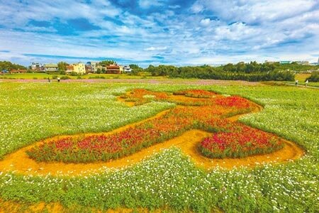 桃園花彩節邁入第7屆，年年吸引許多民眾到花田拍美照打卡。（陳夢茹攝）