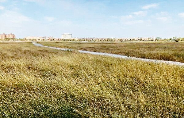 嘉義縣治及高鐵特區台糖土地招商開發,因只租不售,開發商興趣缺缺,至今閒置。圖/聯合報記者魯永明攝