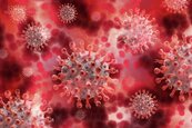 科學家找出新冠病毒新抗體　可望催生冠狀病毒通用疫苗