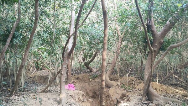 苗栗縣竹南鎮驚傳2歲男童去年間疑遭父母不當管教致死，被埋在生父工作地點附近的一處樹林裡。圖／民眾提供
