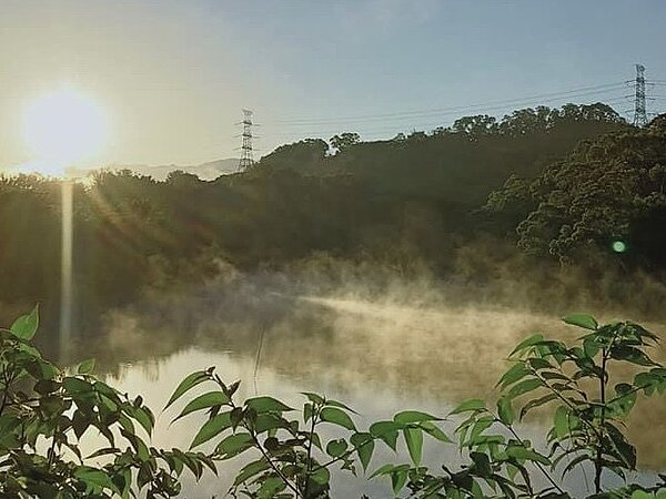 峨眉湖出現湖面霧氣騰騰的情況,宛如大型溫泉池一般。圖/野放居提供