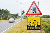 水獺接連路殺　金門縣府籲開慢一點