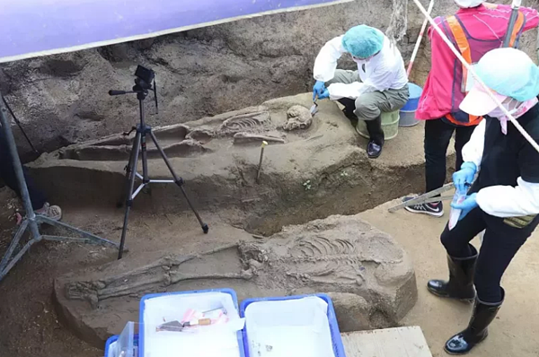 日前在嘉北車站往南附近發現疑似「台斗坑遺址」,至今挖到5個骨骸。圖/嘉義市政府提供