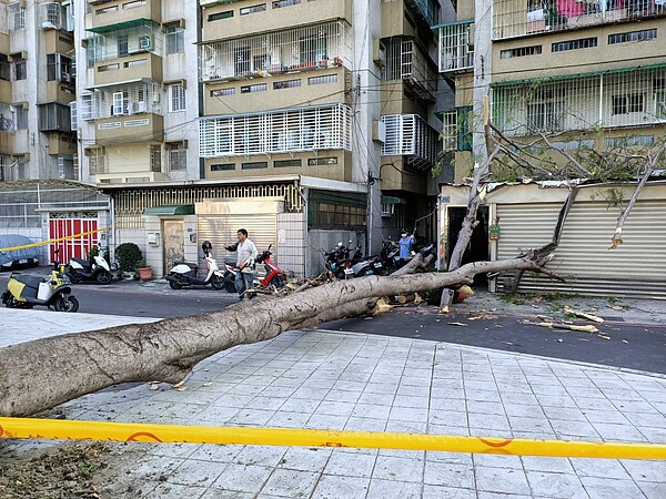 正道公園一株鳳凰木疑「病倒」壓損民宅與多部機車。圖／高雄市工務局提供