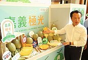 建商支持嘉縣在地小農　推廣「嘉義極光」哈密瓜