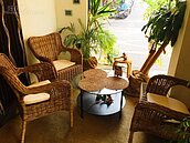 好房網TV／社區植物越多越好？　專家：種錯樹麻煩多！