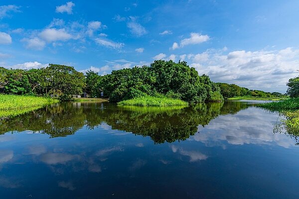 「鹿角溪人工濕地」榮獲第21屆公共工程金質獎首屆公共設施維護管理類優等獎殊榮。圖/新北市府提供
