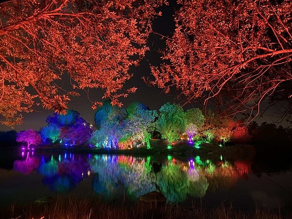 2022台灣燈會在高雄,打造衛武營藝文森林。圖/高雄市政府提供