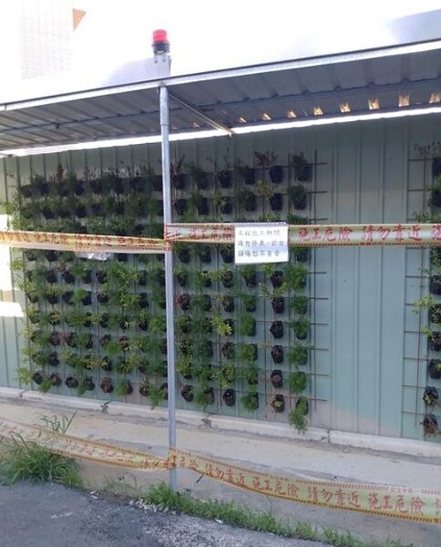 原PO發現工程圍牆上的盆栽有些已接近枯死。圖/翻攝自爆廢公社公開版