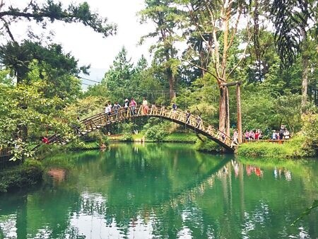 溪頭從16日起，開放溪頭當地住宿旅客入園。圖／廖志晃攝