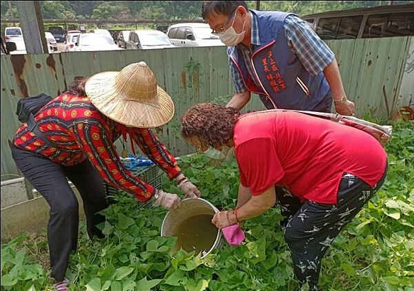 徵熊里長和里民一起維護里內園地，灌溉施肥修剪樣樣來。圖林徵熊提供