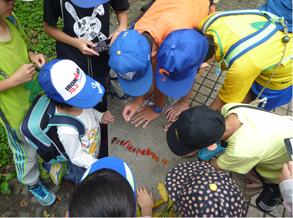 「家族任務」課程促發同儕之間的合作，彼此陪伴、互相鼓勵。圖／指南國小提供
