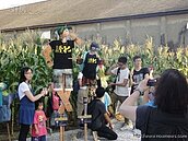 駁二玉米田計畫　今年提早收成