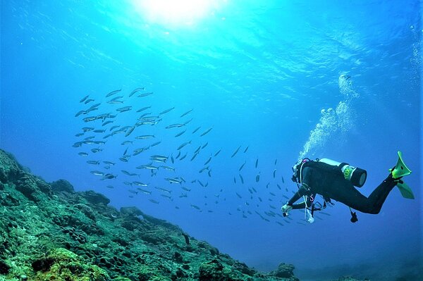 屏東墾丁是水上活動勝地,得知「水域仍不開放,但有開放潛水」、「水域活動不要群聚肢體頻繁接觸就會開放」原則時,業者有「如釋重負」的雀躍心情。記者潘欣中/翻攝