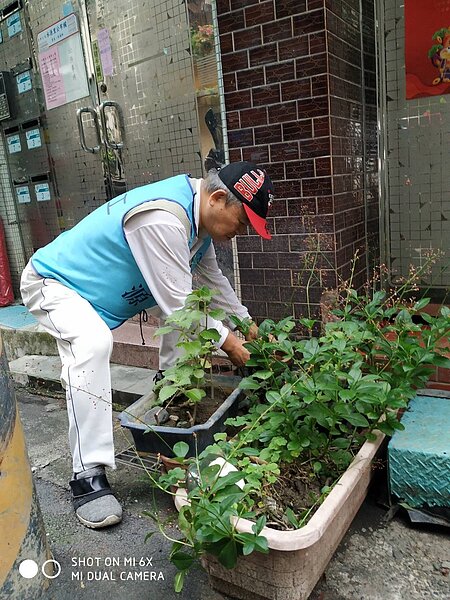 柯義和在里區環境的維護上不遺餘力。圖／柯義和提供